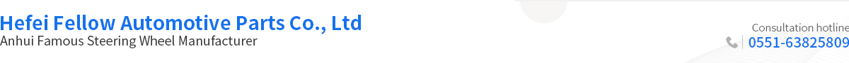Hefei Fellow Automotive Parts Co., Ltd